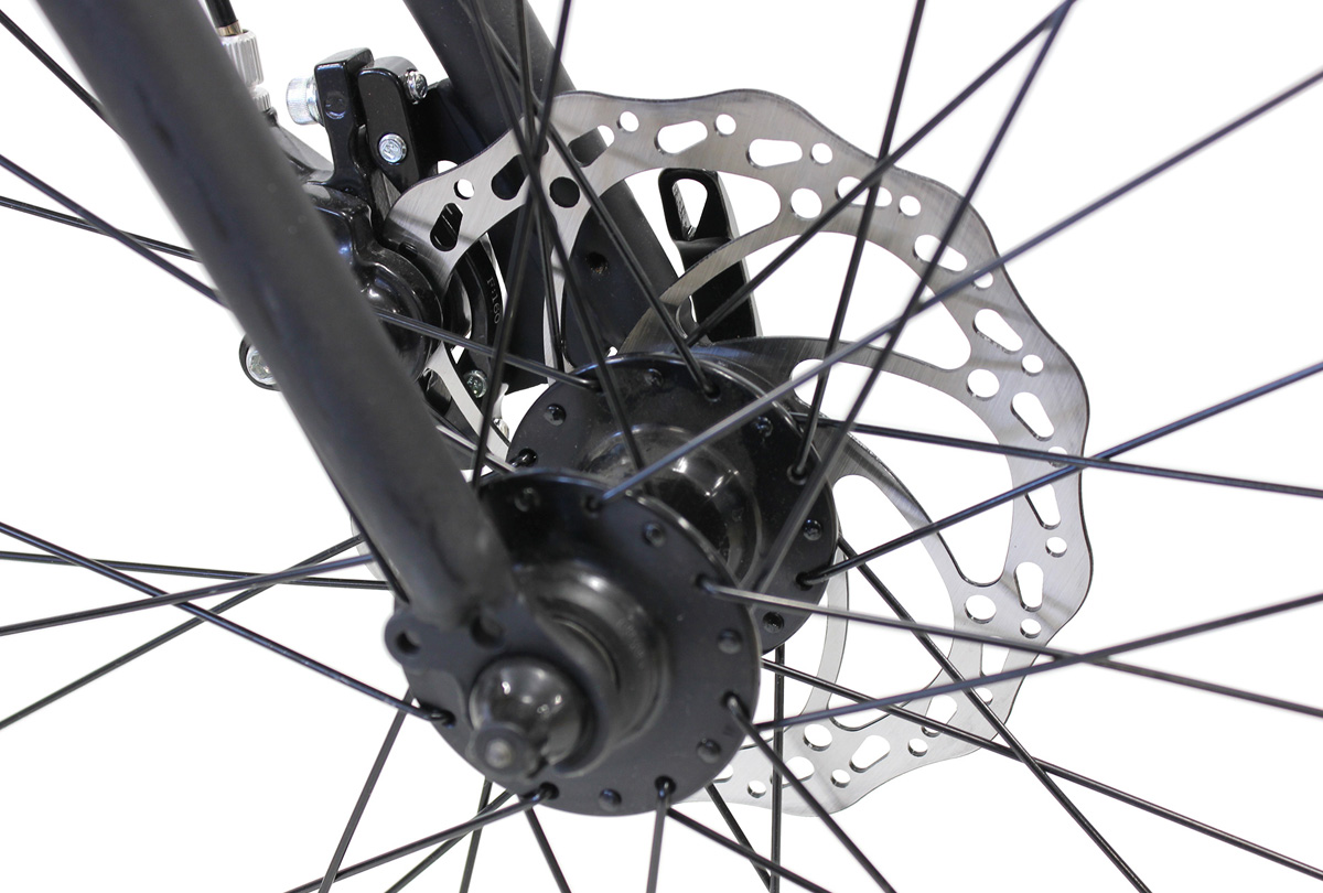 HEAD CROSS VORONA DISC